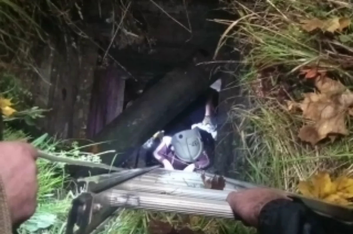 Власти помогут ярославне, упавшей в заброшенный колодец в Большом селе