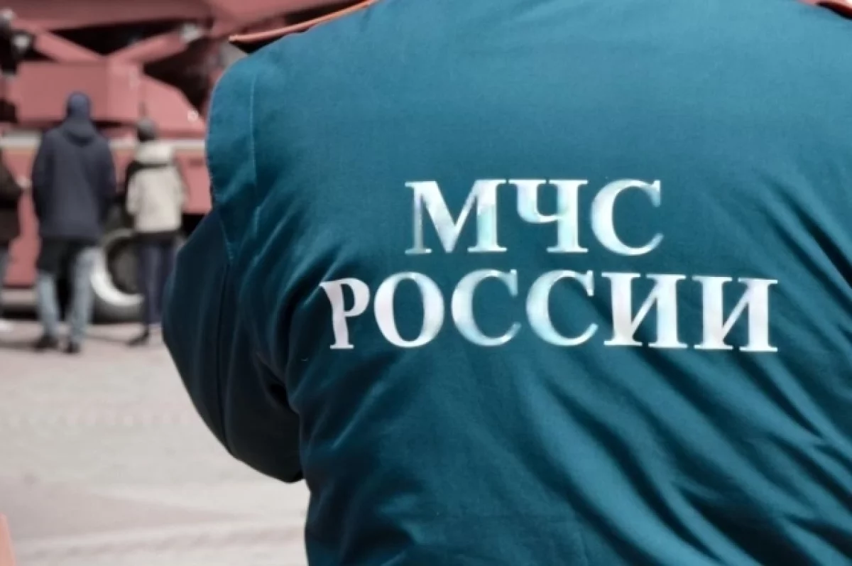 В Чемодановке под Пензой взорвался бытовой газ, пострадал мужчина