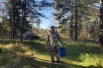 В погожую погоду нужно успеть за лесными трофеями...