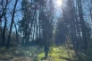 ..и обязательно показать осенний лес детям.