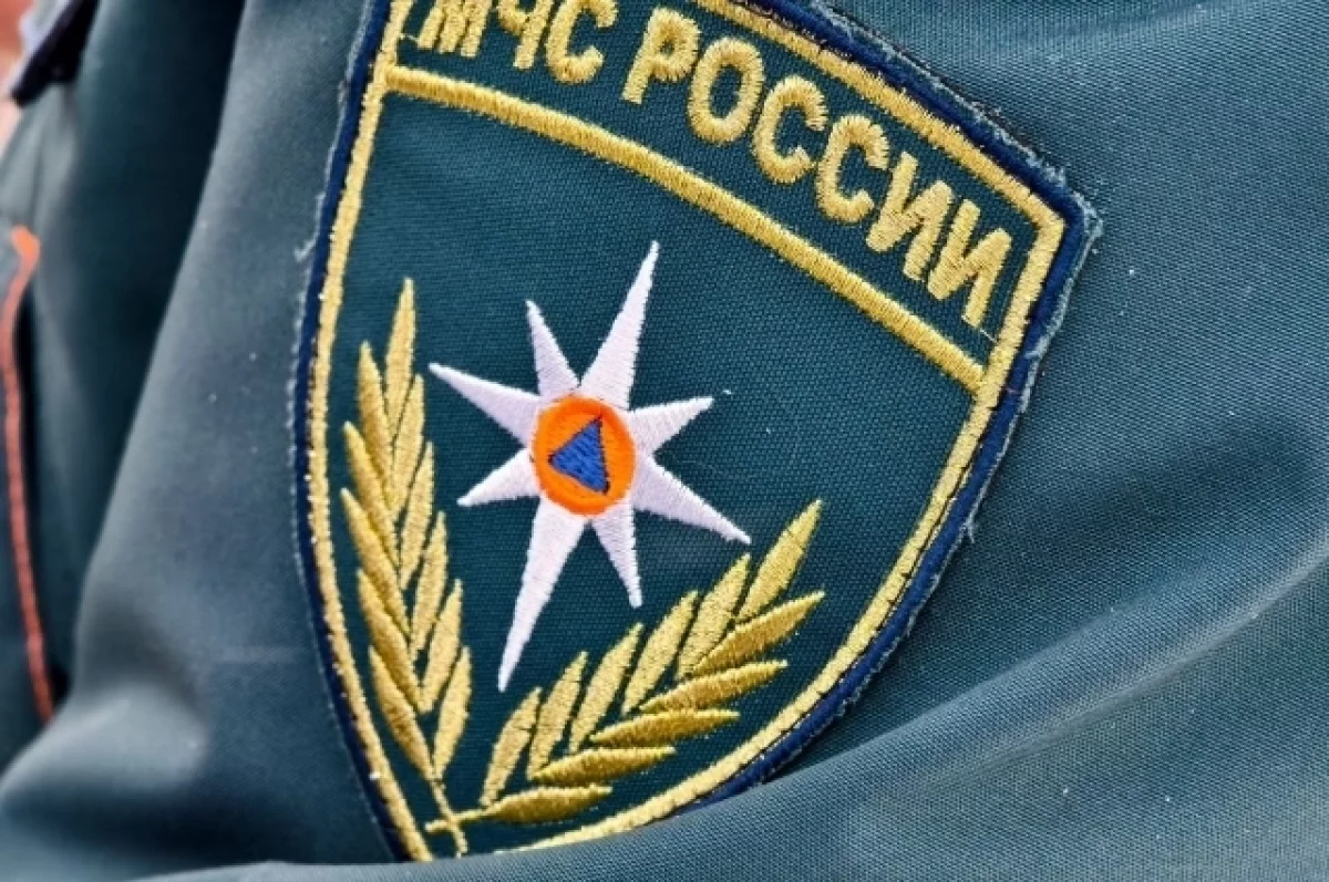 Четыре спасателя тушили деревянный дом в Сердобском районе под Пензой