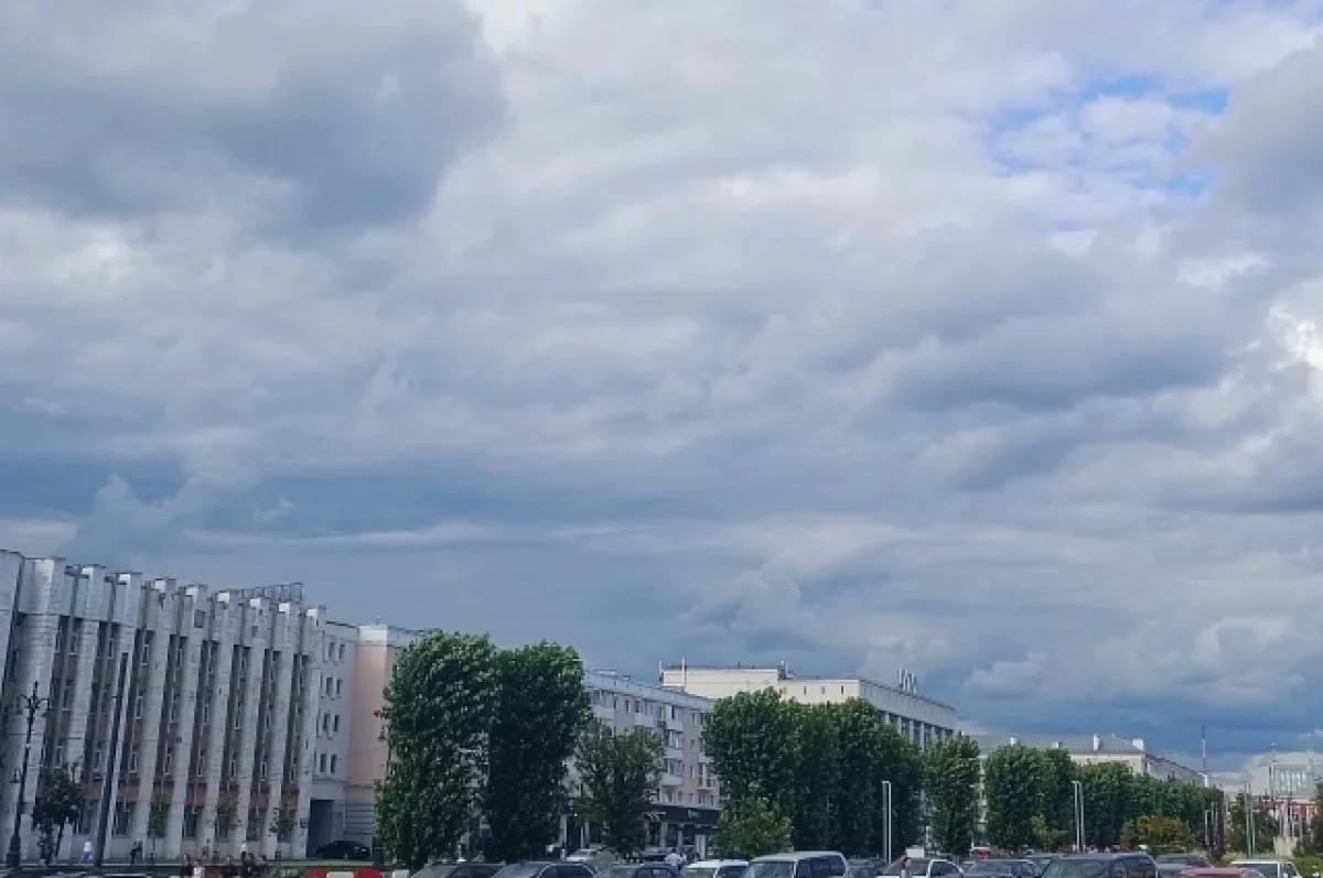 Тему разминирования Брянщины подняли на федеральном уровне