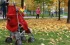 1eb08683de7060b84e9af5056953c7ae.webp