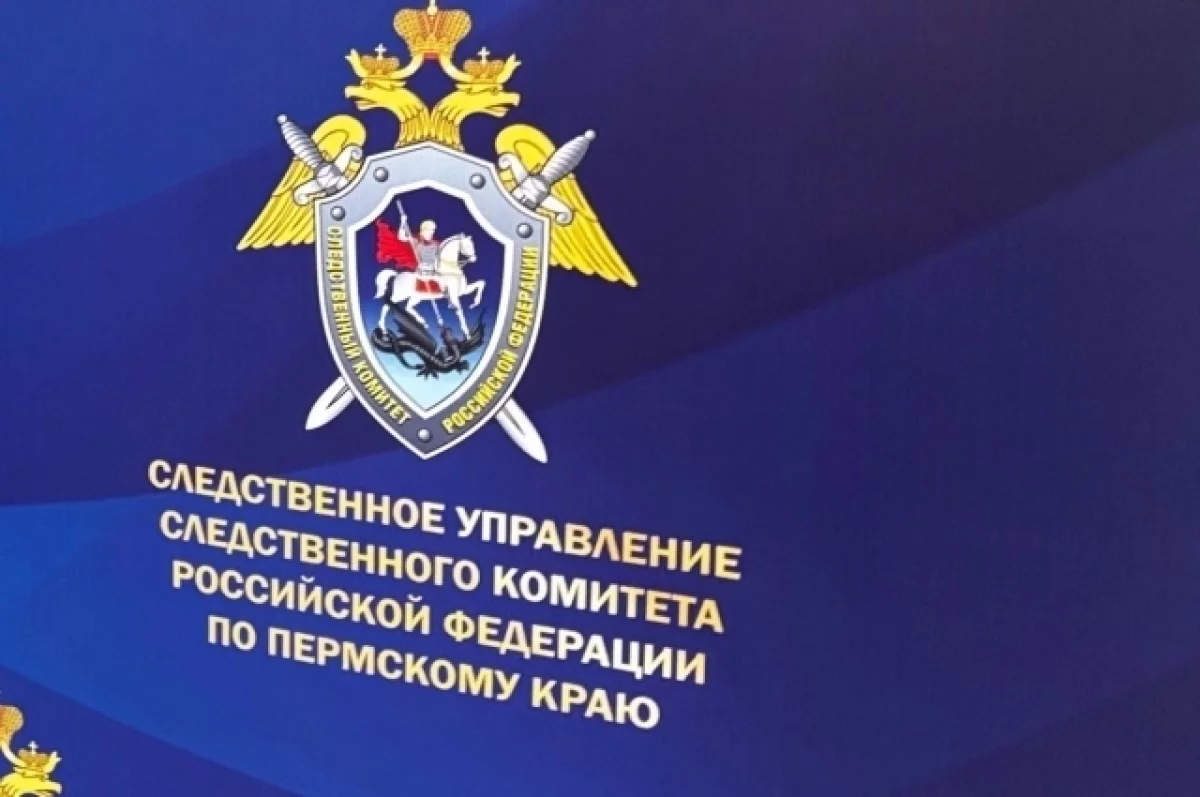 В Перми 16-летнего подростка обвинили в публичном оправдании терроризма