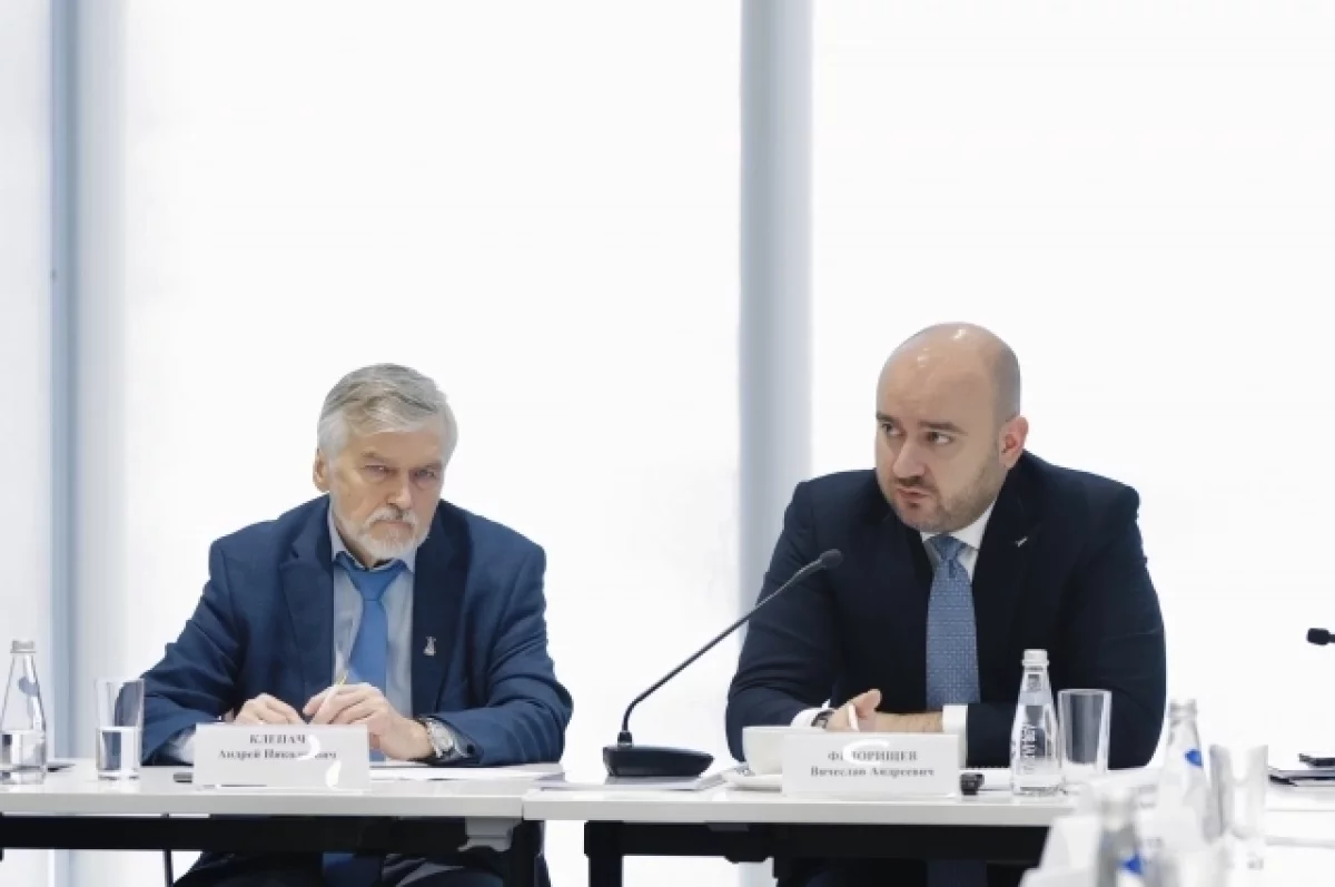 Федорищев провел заседание экспертной группы комиссии Госсовета