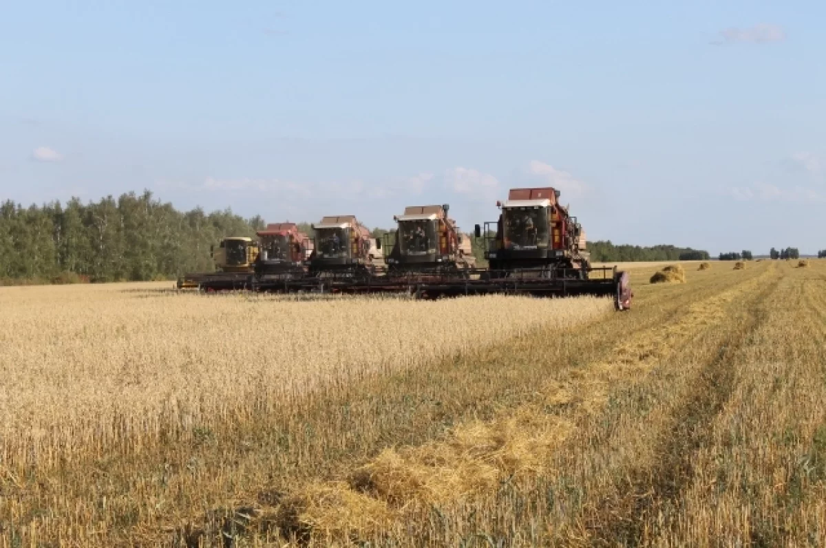 Ивановские аграрии завершают уборку зерновых культур