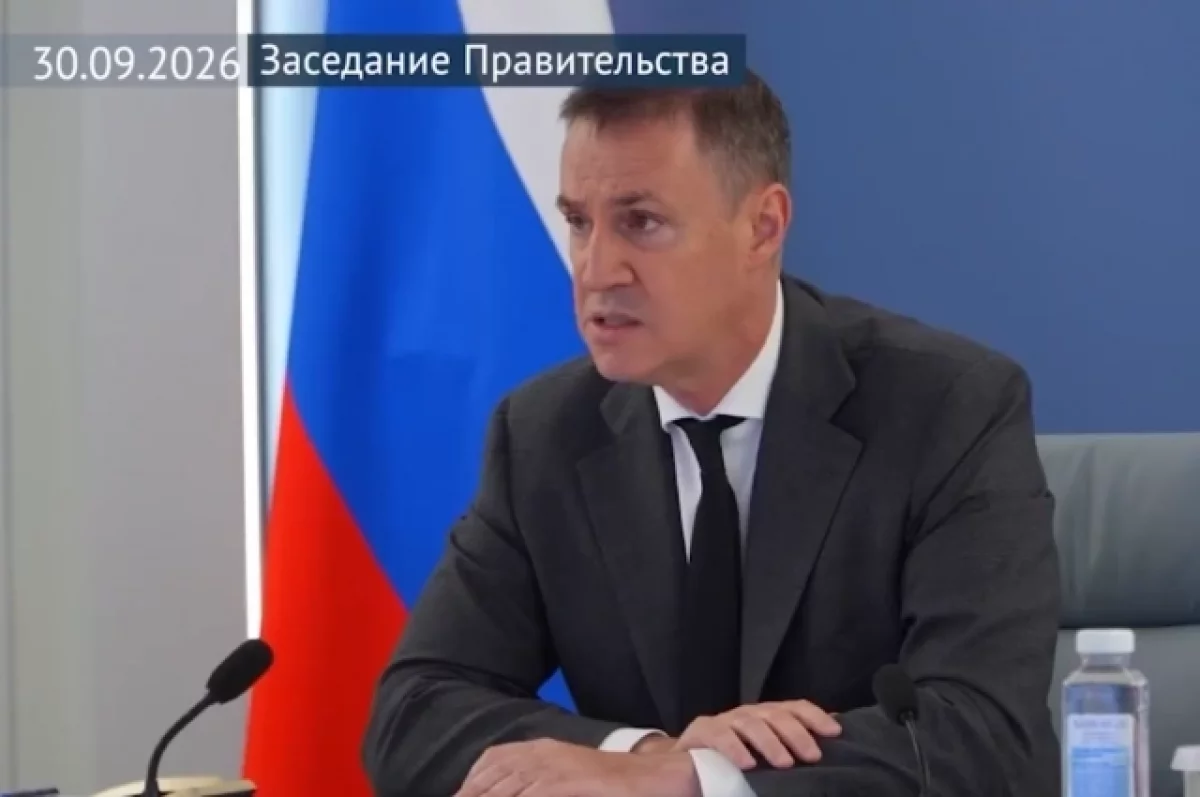 Ситуацию с медведями в Забайкалье обсудили на совещании правительства РФ