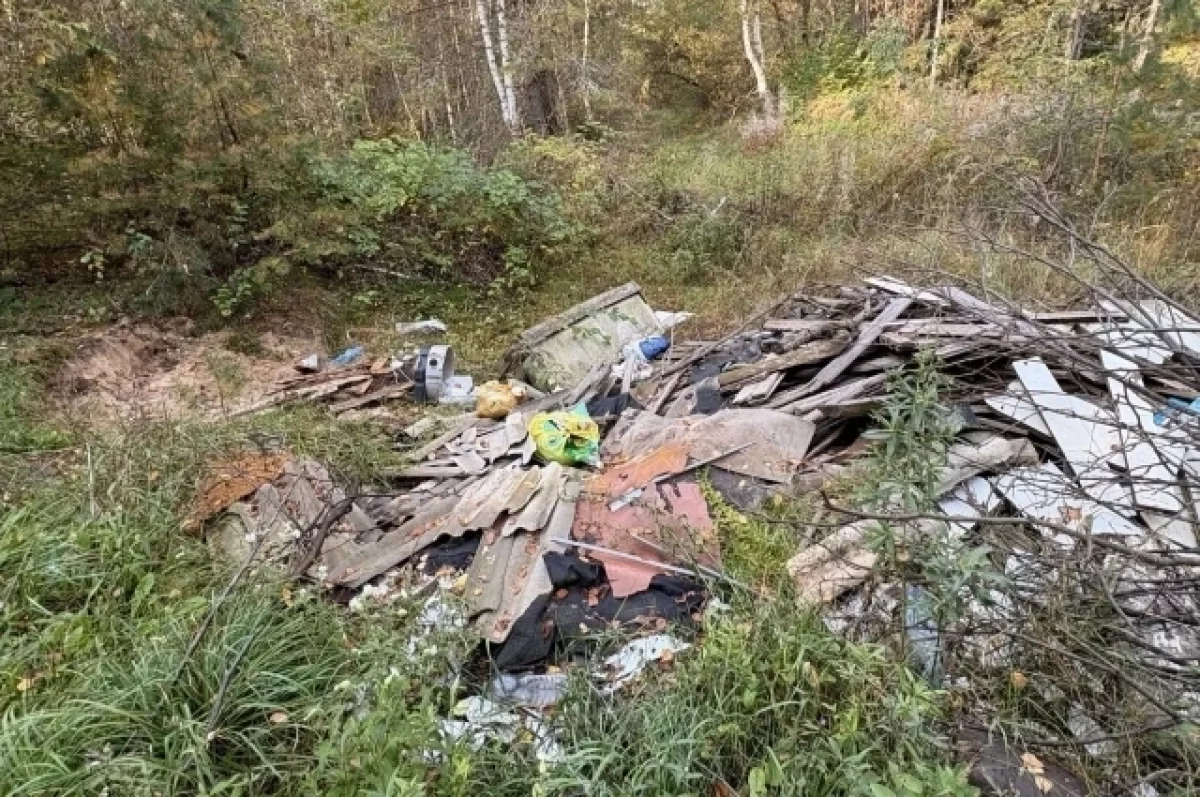 В Меленках прокуратура требует ликвидировать свалку у деревни Папулино