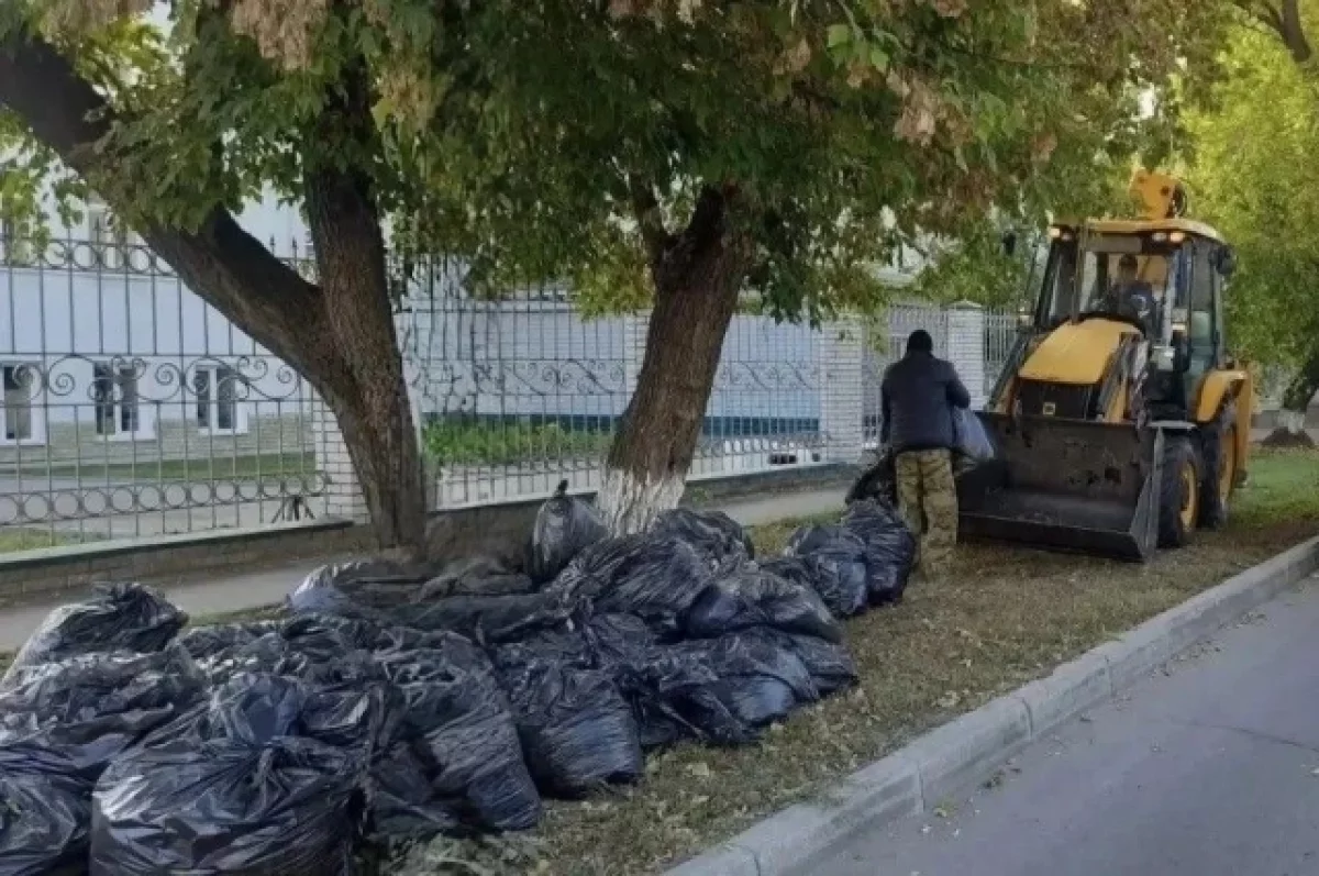 В Барнауле начался месячник осенней уборки