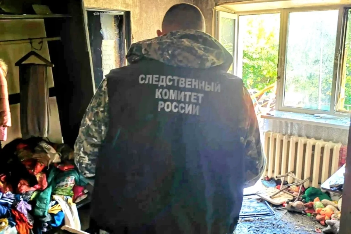В Тамбовской области на пожаре погибли пожилая женщина и два мальчика