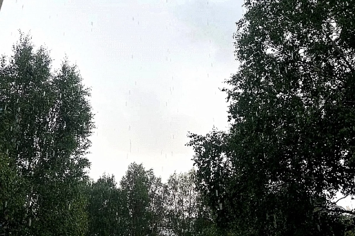 Погода в Югре на 2 октября: дождь
