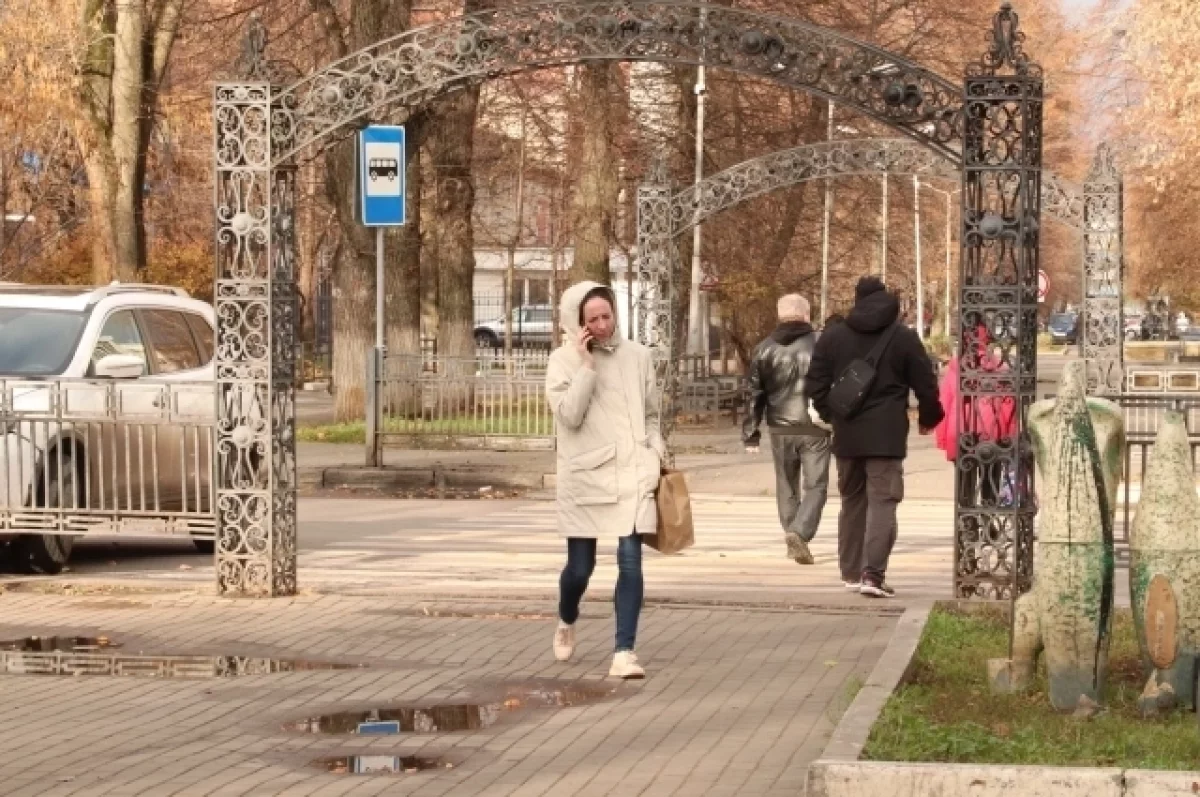 тепло по заявкам, обыски, антибиотики в еде