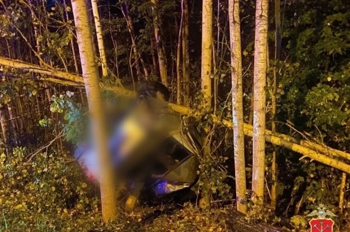 В Кировском районе Ленинградской области водитель LADA Priora погиб в ДТП
