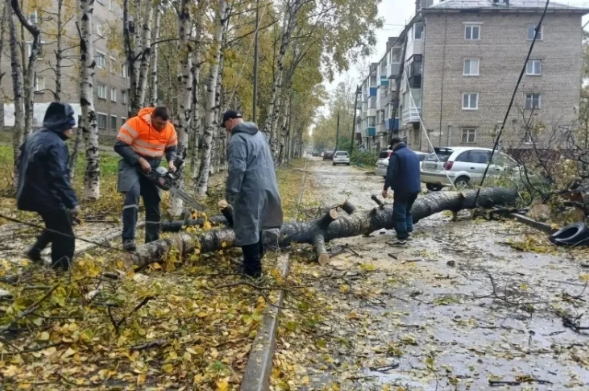 Тайфун «Джеби» оставил Хабаровский край без света и дорог