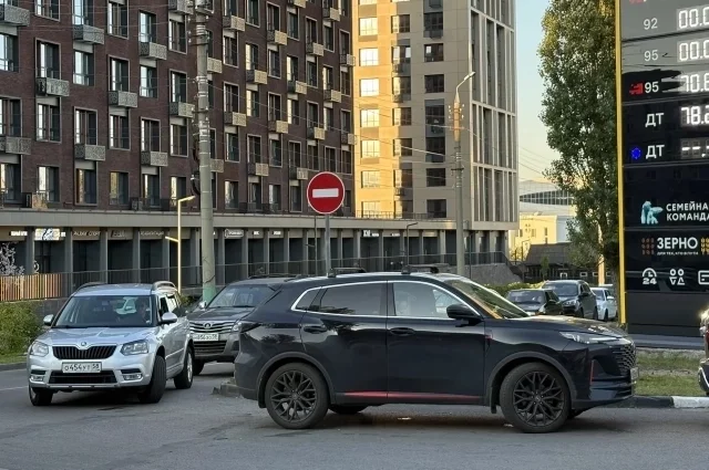 Сегодня владельцам автомобилей с бензиновыми двигателями приходится стоять в длинных очередях на АЗС.