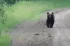 b40977e8d16045d6ca13b1c1a7b614d9.webp