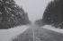 4b025486bf42dc45041170895e830b45.webp