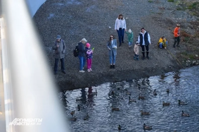 Посмотреть на новое городское пространство пришли сотни горожан. 