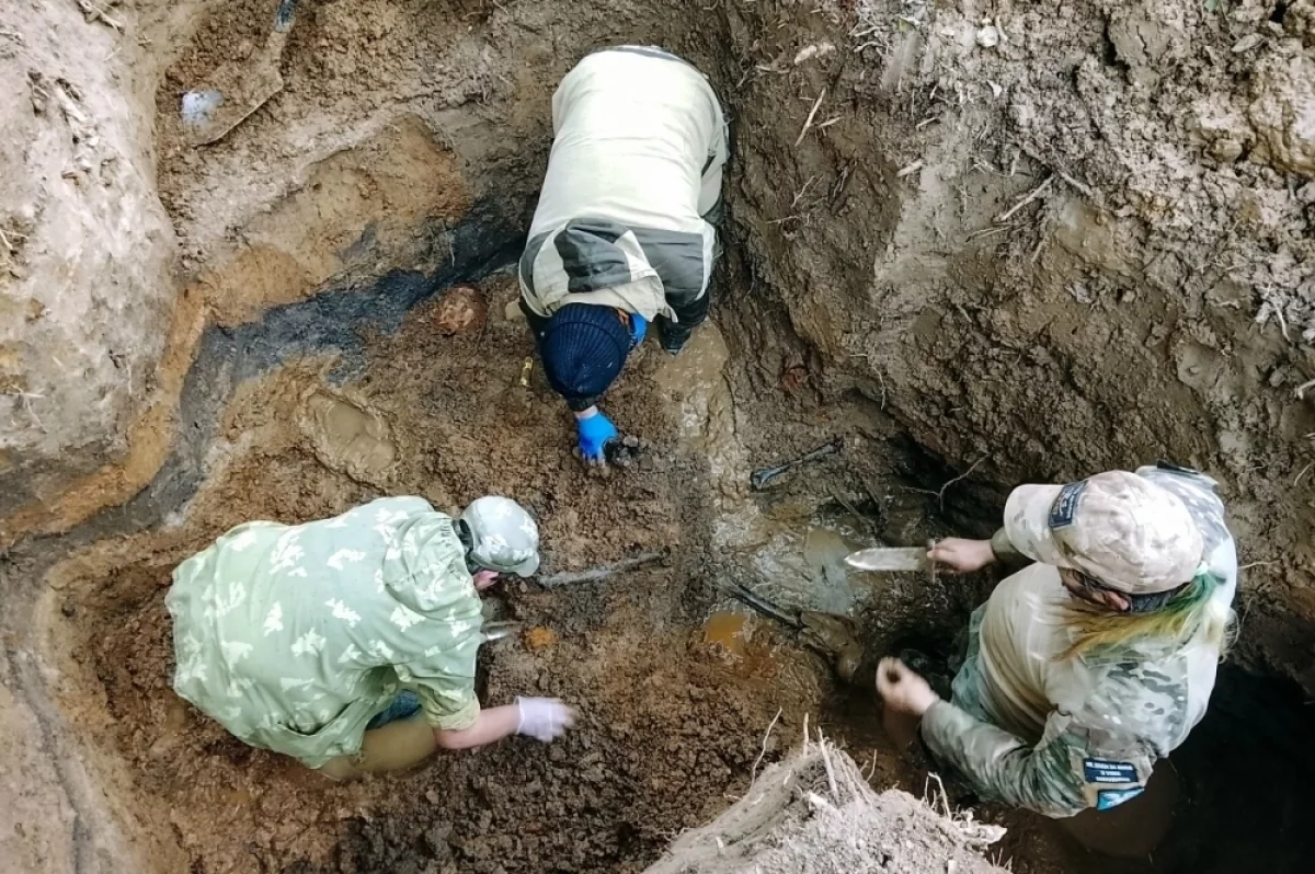 Под Ржевом поисковики подняли останки двух красноармейцев