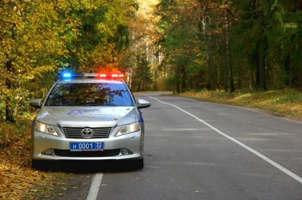 Дорожные полицейские Брянска помогли потушить пожар в кузове грузовика
