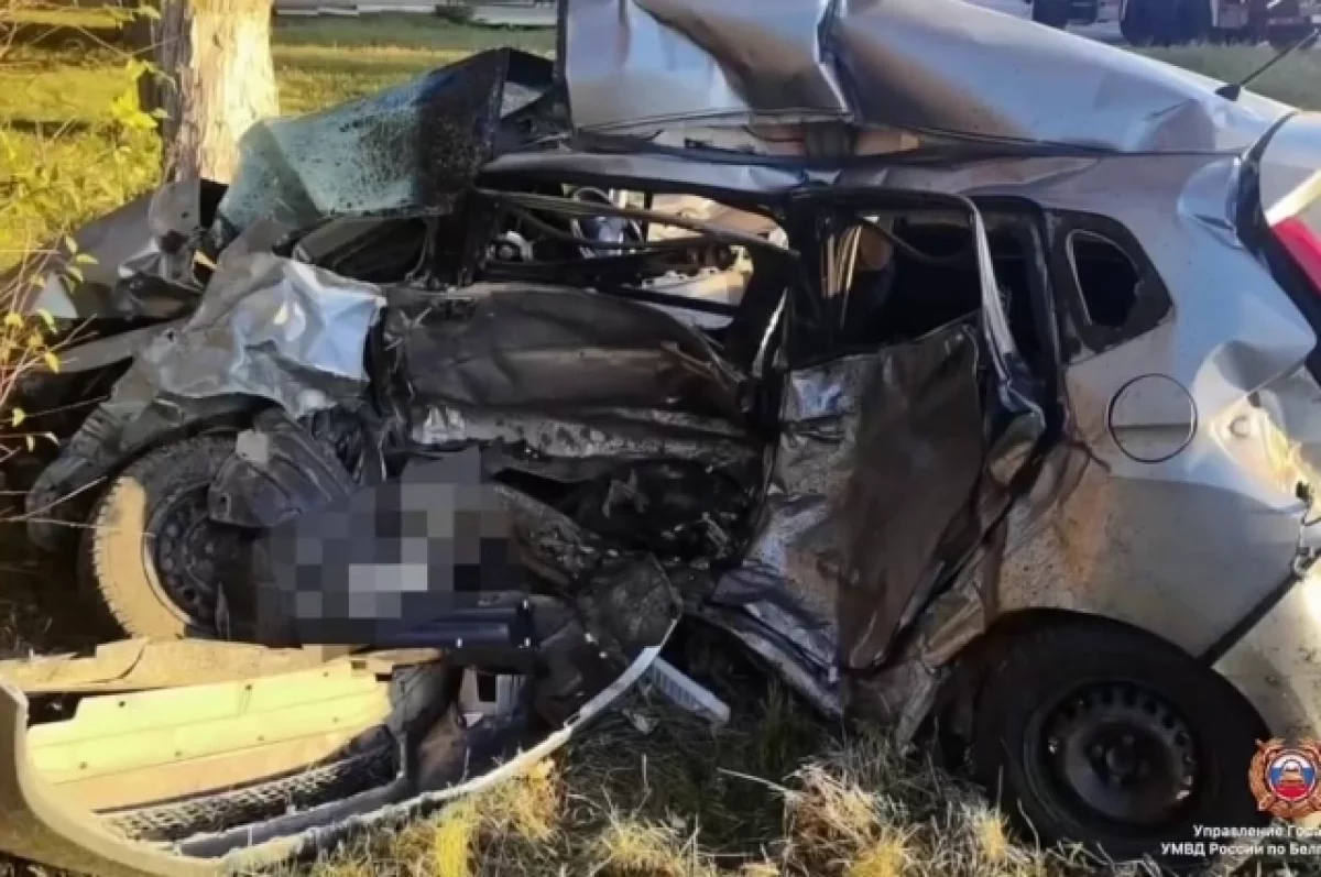 В ДТП с участием двух машин под Белгородом погиб пенсионер