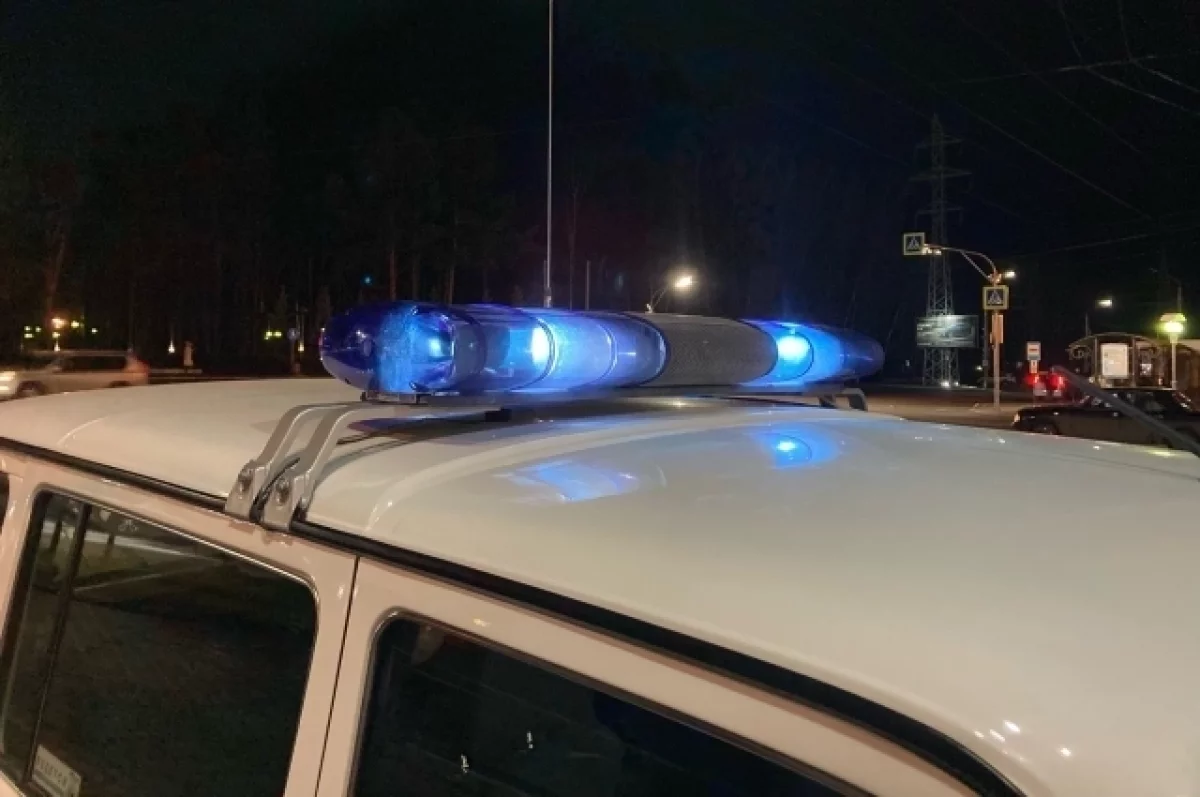 В Башмаковском районе под Пензой мужчина на «Рено» насмерть сбил женщину