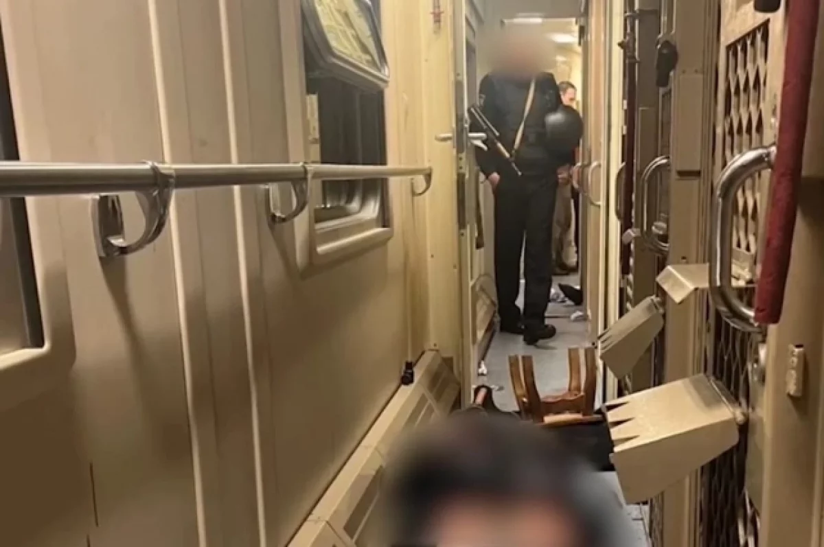 Бастрыкину доложат о нападении заключенного на конвоиров в поезде в КБР