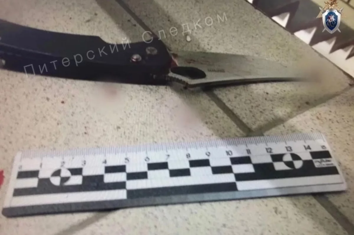 В Петербурге на проспекте Науки пытались убить двух женщин