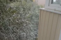 Снежные хлопья в Ясном.