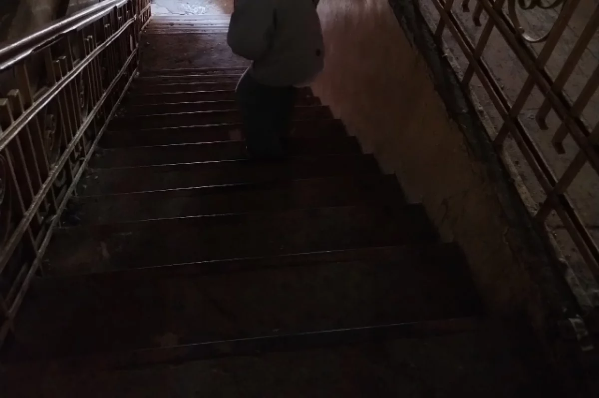 Нападение на несовершеннолетнюю В Оренбурге: глава СК взял дело на контроль