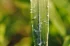 a14f1c2972fc5abbf821ea99ed55a687.webp