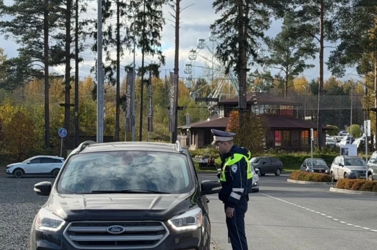 В Петрозаводске выявили два нарушения правил перевозки детей