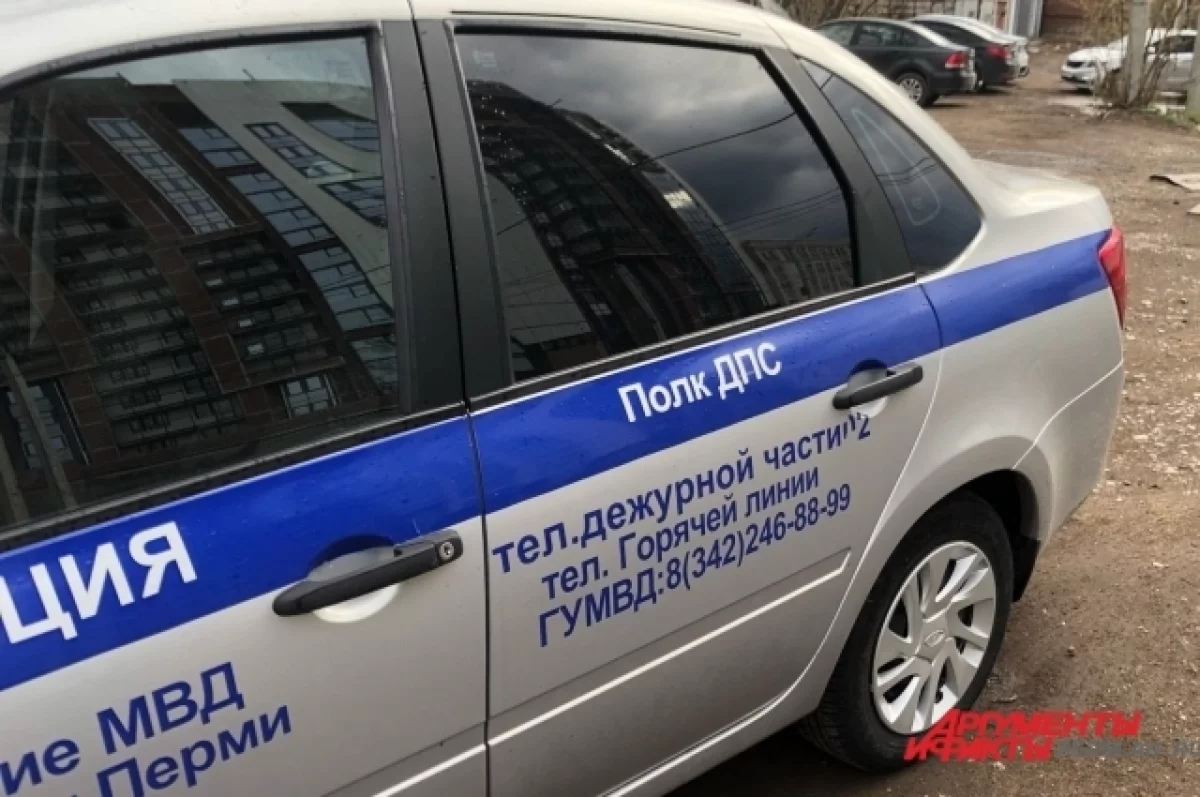 МВД начало проверку после публикации видео со школьником-зацепером в Перми
