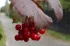 b2307d13acb0c98a74b8034739e047ec.webp