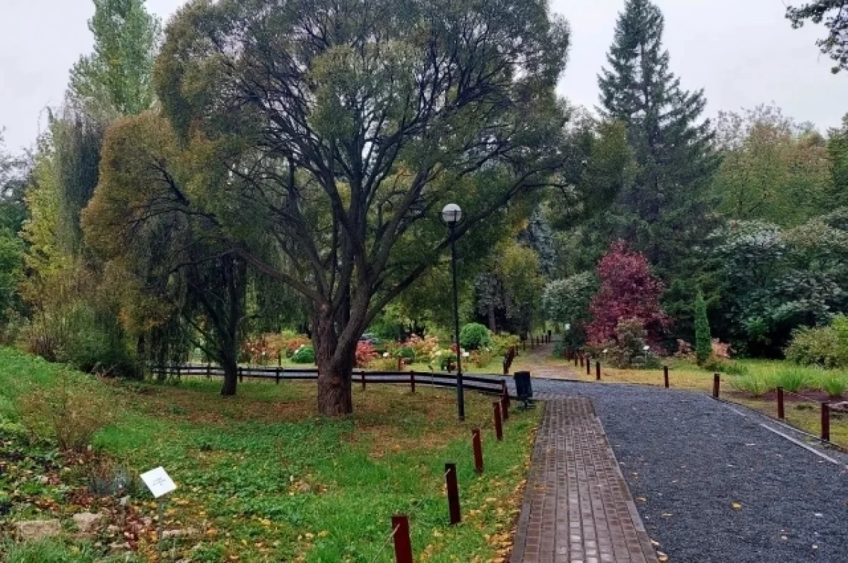 Самарцам рассказали, когда вновь потеплеет до +18 °C