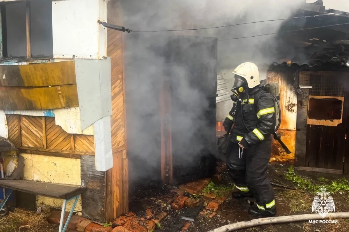 В Дружино Омского района на пожаре погиб мужчина