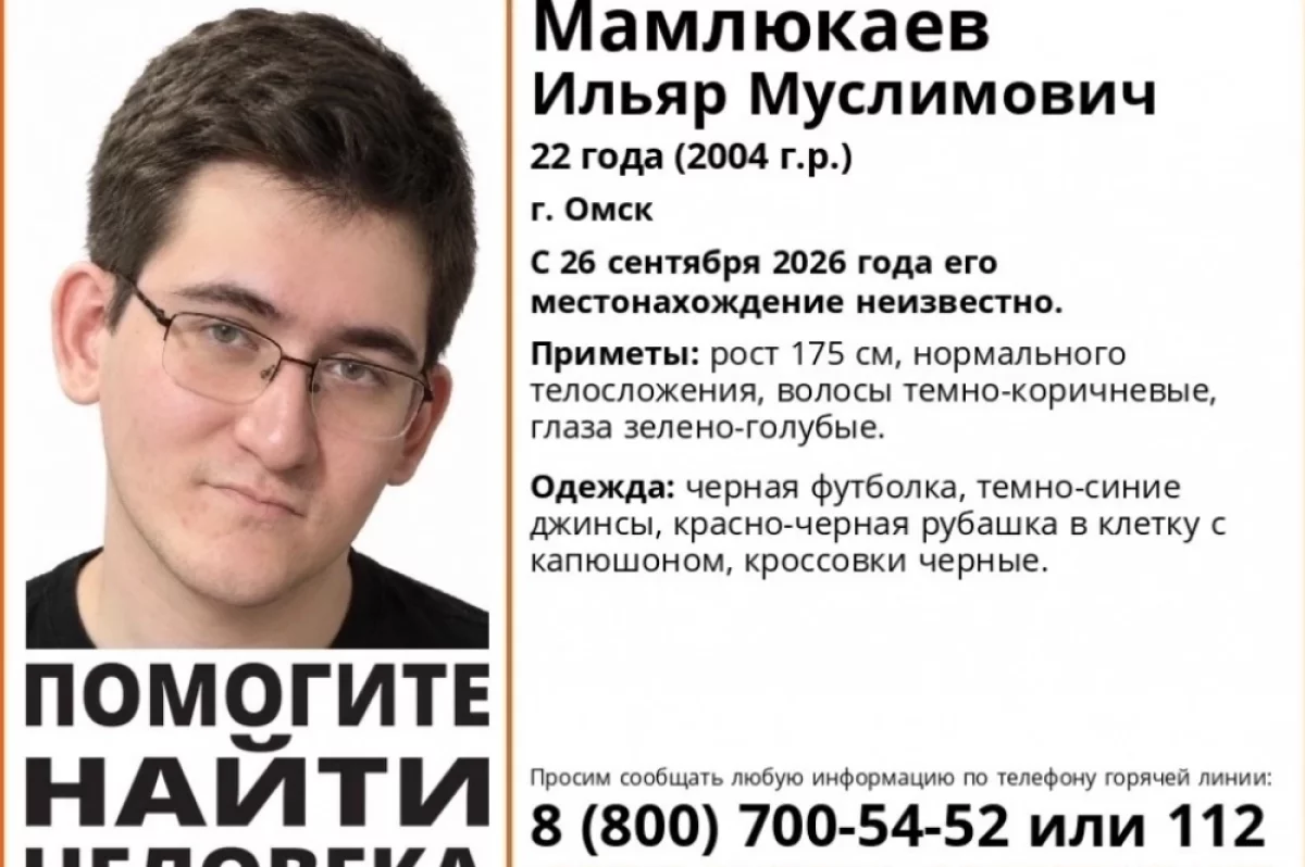 Омичей просят проверить видеорегистраторы из-за пропажи студента на мосту