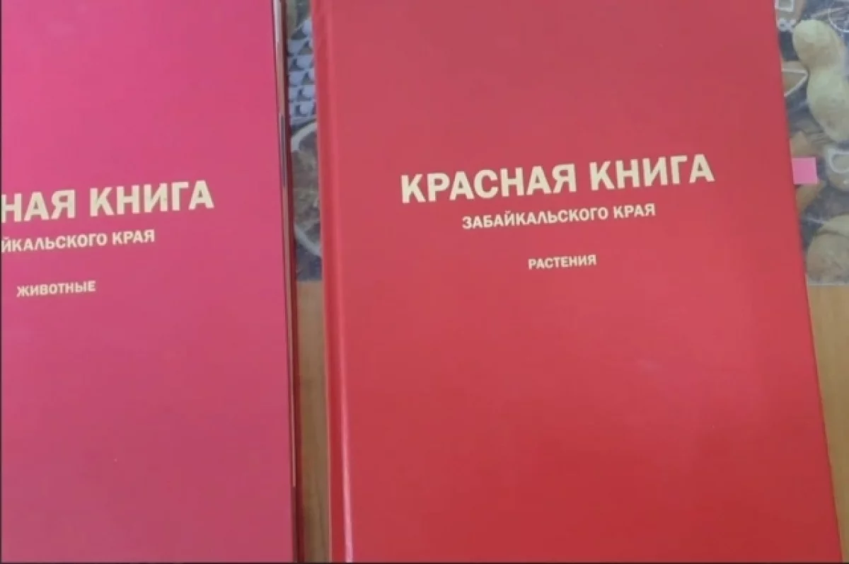 Минлесхоз Мордовии сообщил о включении редких животных в Красную книгу