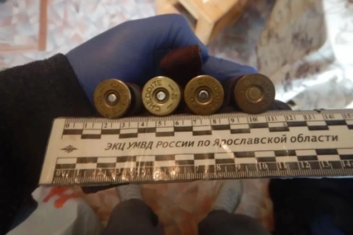 Пенсионер из Даниловского района хранил дома больше тысячи патронов