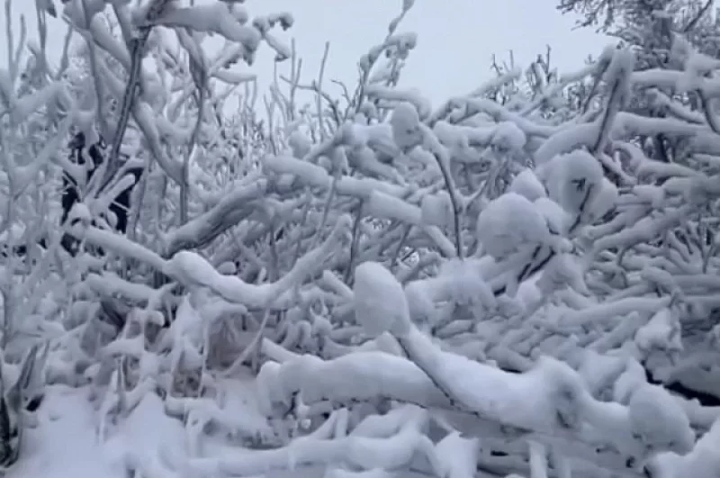 Бурзянский район