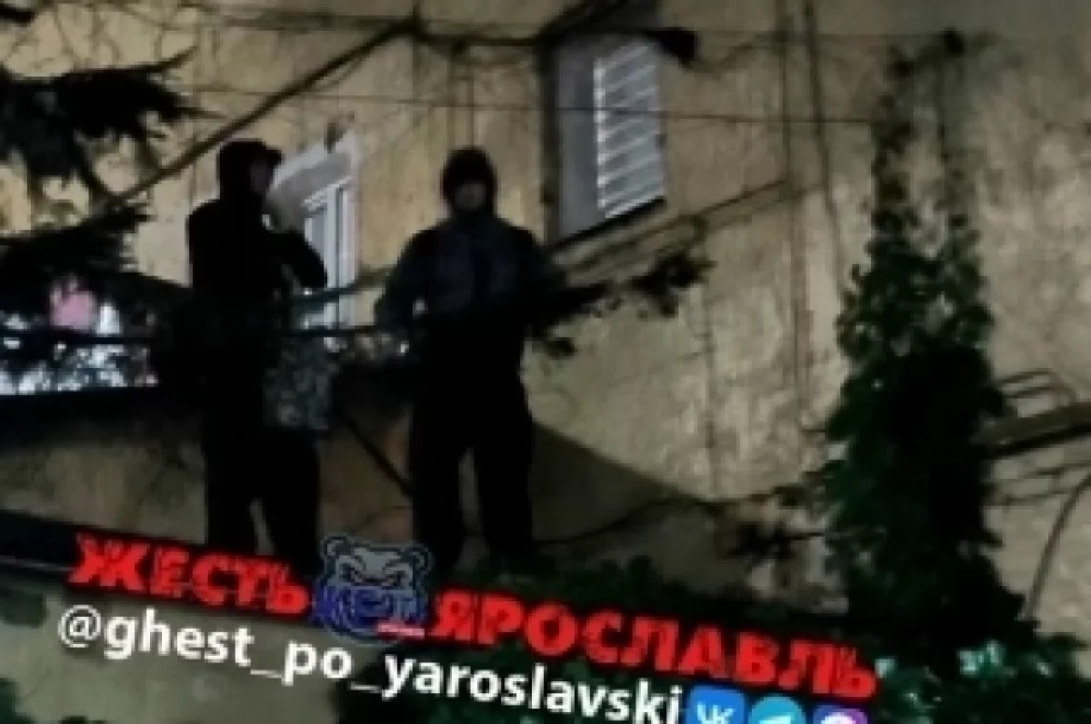 Напавшим на ярославну вандалам грозит уголовная статья