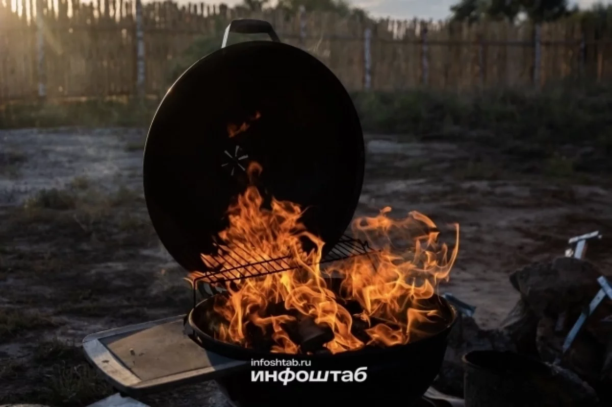 Под Астраханью дачницу отправили под стражу за сжигание мусора