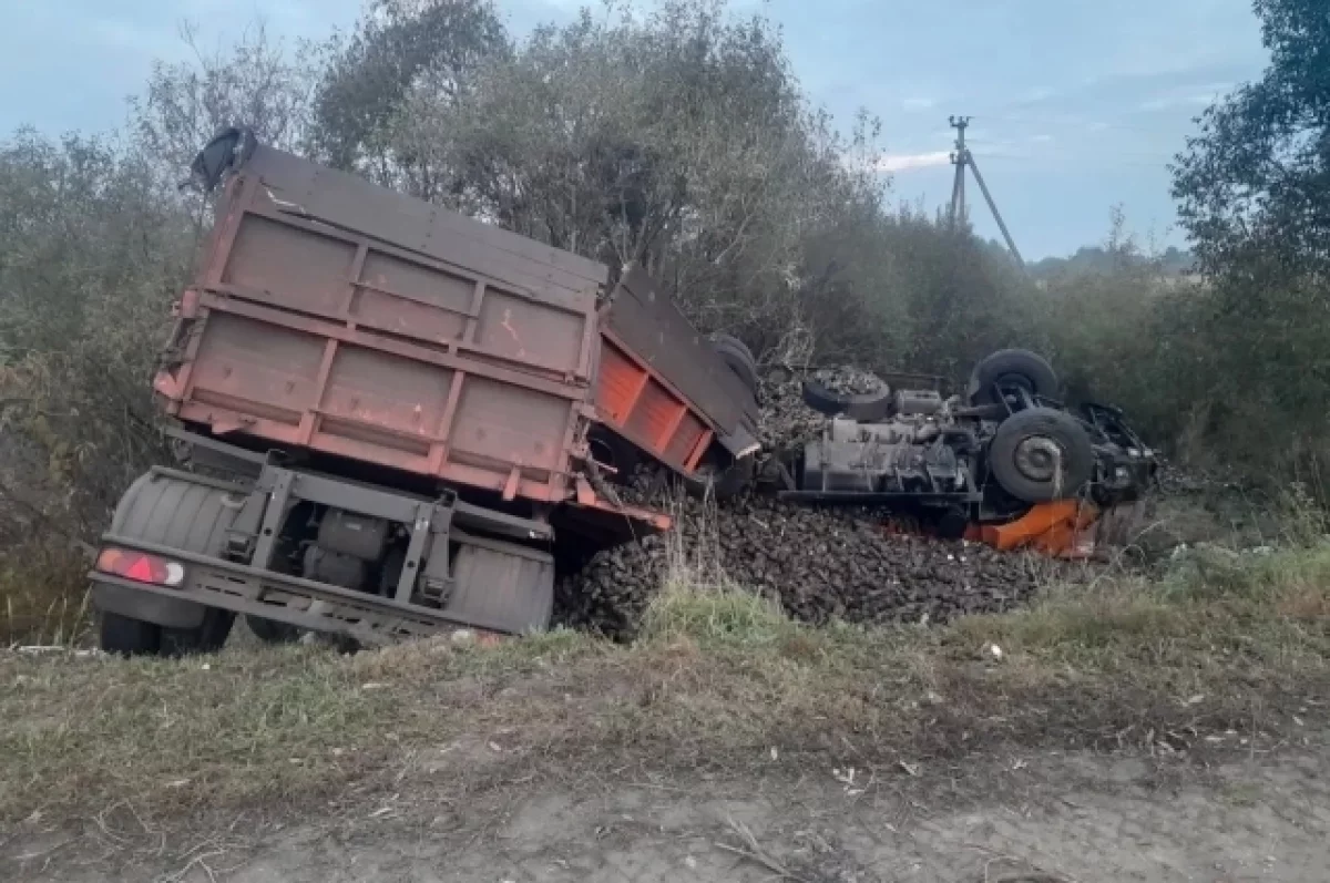 В Башмаковском районе под Пензой «КАМАЗ» съехал с дороги, погиб мужчина