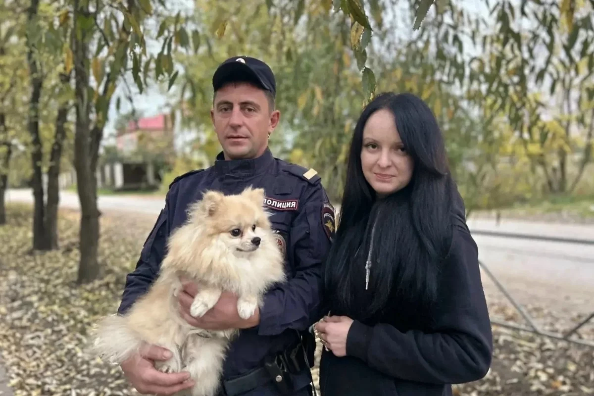 Великолукский полицейский спас шпица от овчарки