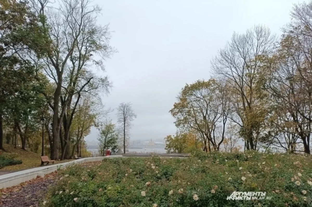 Тренер сборной Нигерии по футболу пожаловался на холод в Нижнем Новгороде