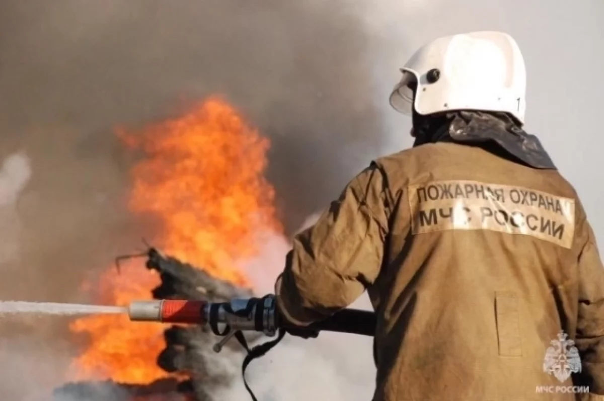 В Скопине при пожаре в частном доме погибли ребенок и женщина