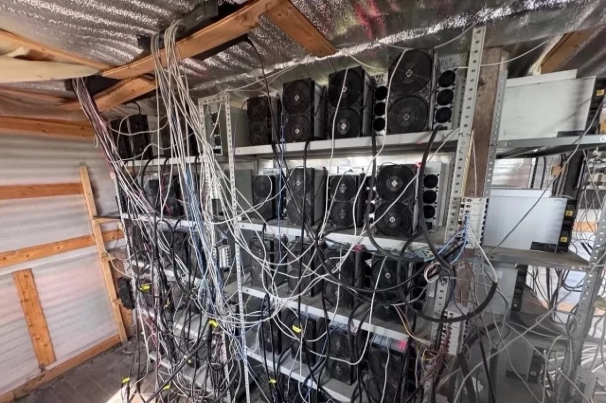 В Петушинском округе расследуют дело о взятке за «крышевание» майнинга