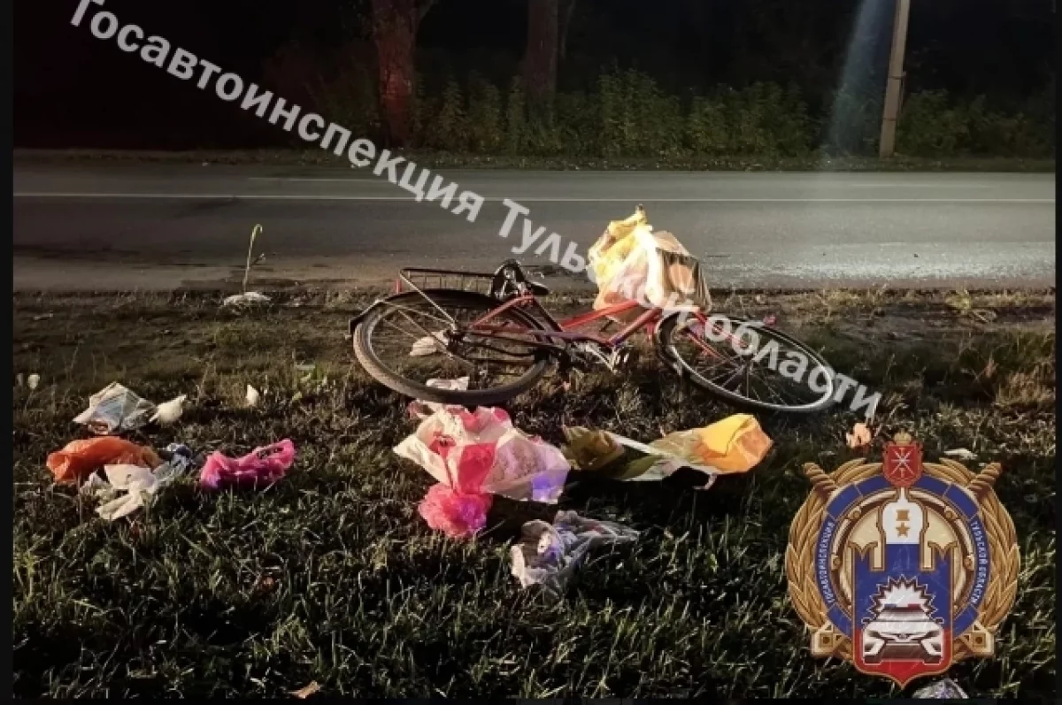 В Новомосковском районе пьяный водитель сбил пожилого велосипедиста