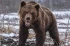 9eeaa185d8bec017be7962b065a3766a.webp