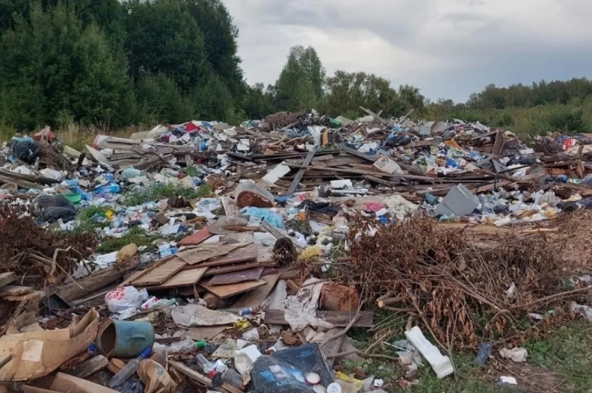 Власти Бакчарского района обещали обустроить свалку у Вавиловки